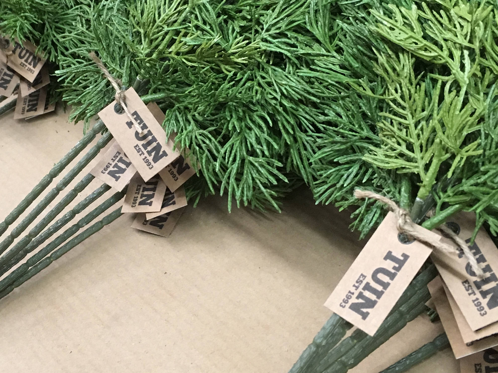 Christmas Greens