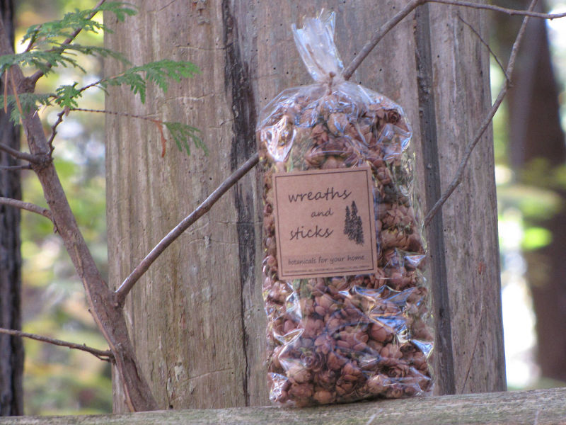 Wreaths and Sticks™ - Hemlock Cones