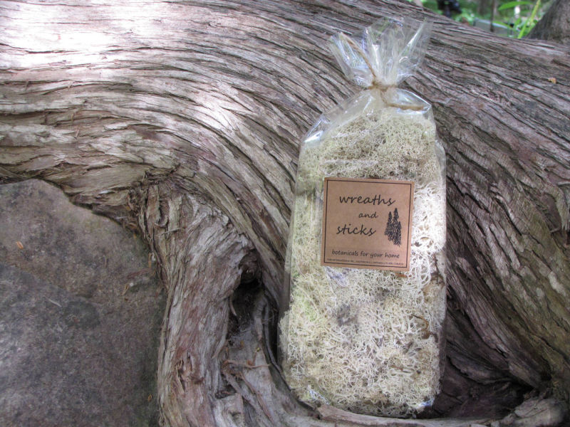 Wreaths and Sticks™ - Reindeer Moss