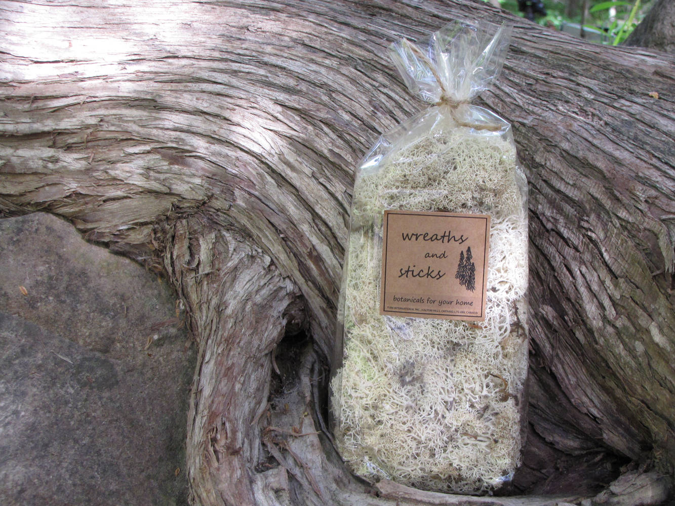 Wreaths and Sticks™ - Reindeer Moss